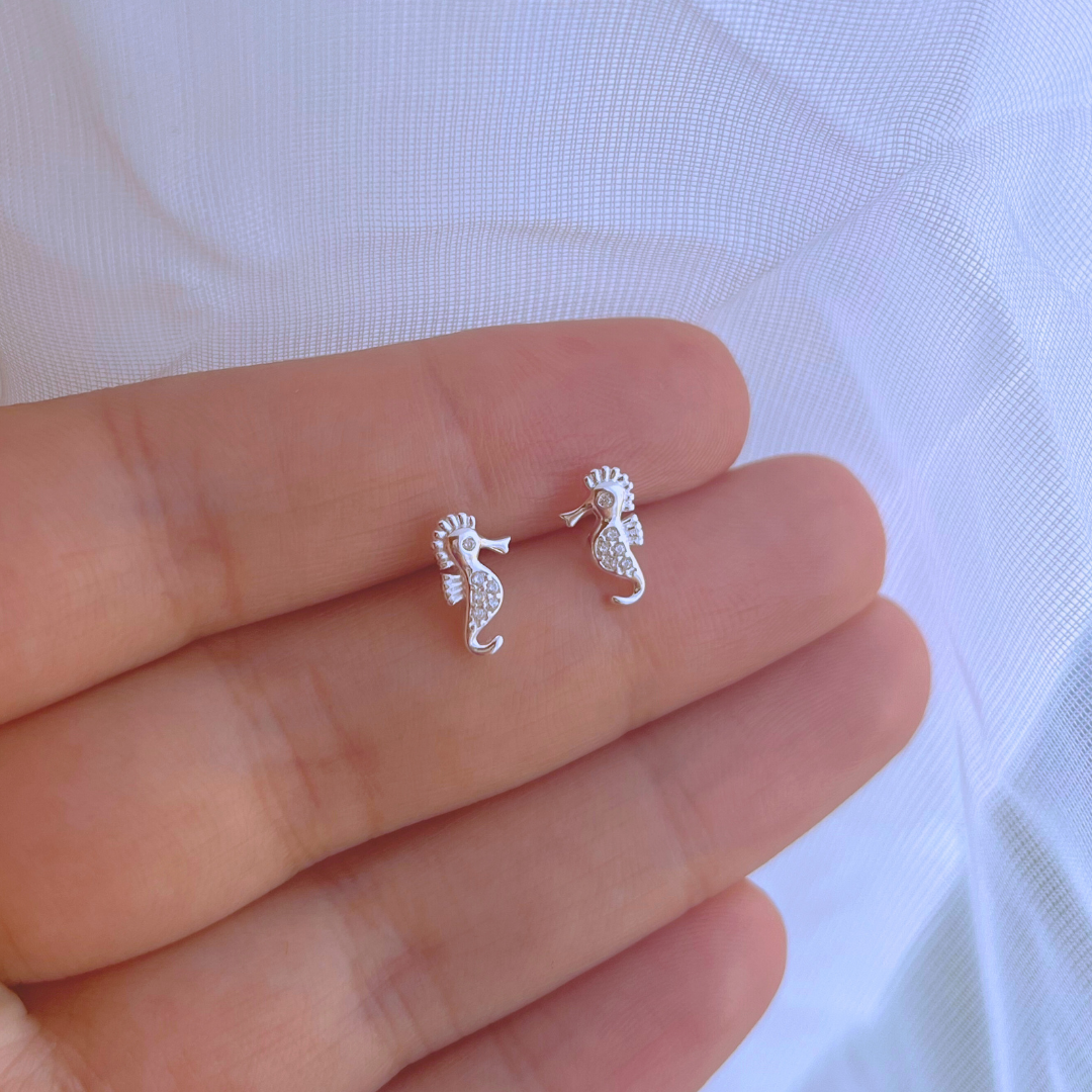 AROS CABALLITO DE MAR CIRCONES